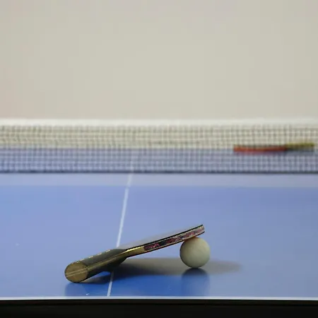 Tschallener Apartment Ried im Oberinntal