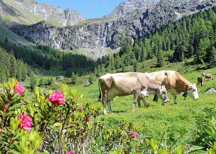 Tschallener Apartment *