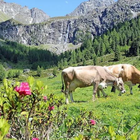 Tschallener アパート *